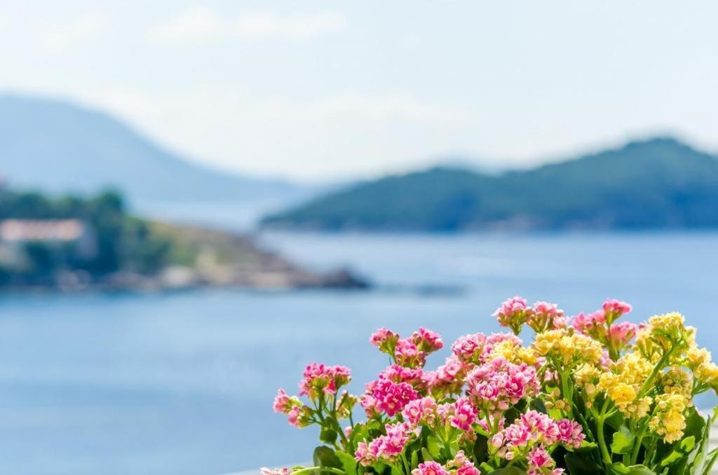 Apartment & Room Lady O Dubrovnik Dış mekan fotoğraf